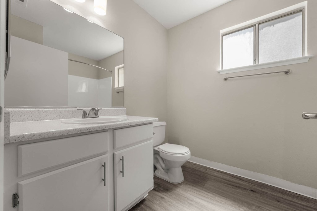 a bathroom with a sink and a toilet