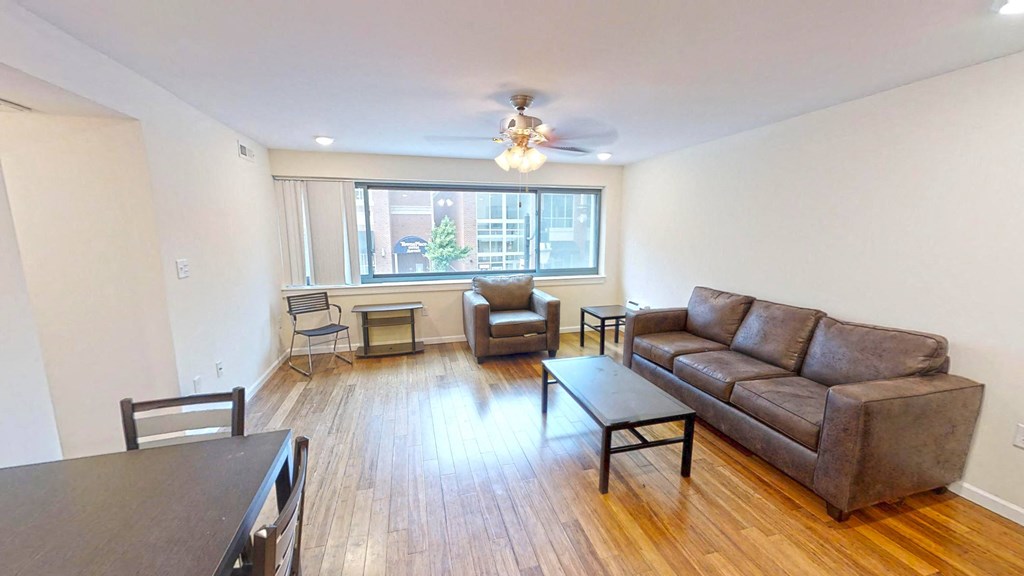 Apt. #201 Living Room view