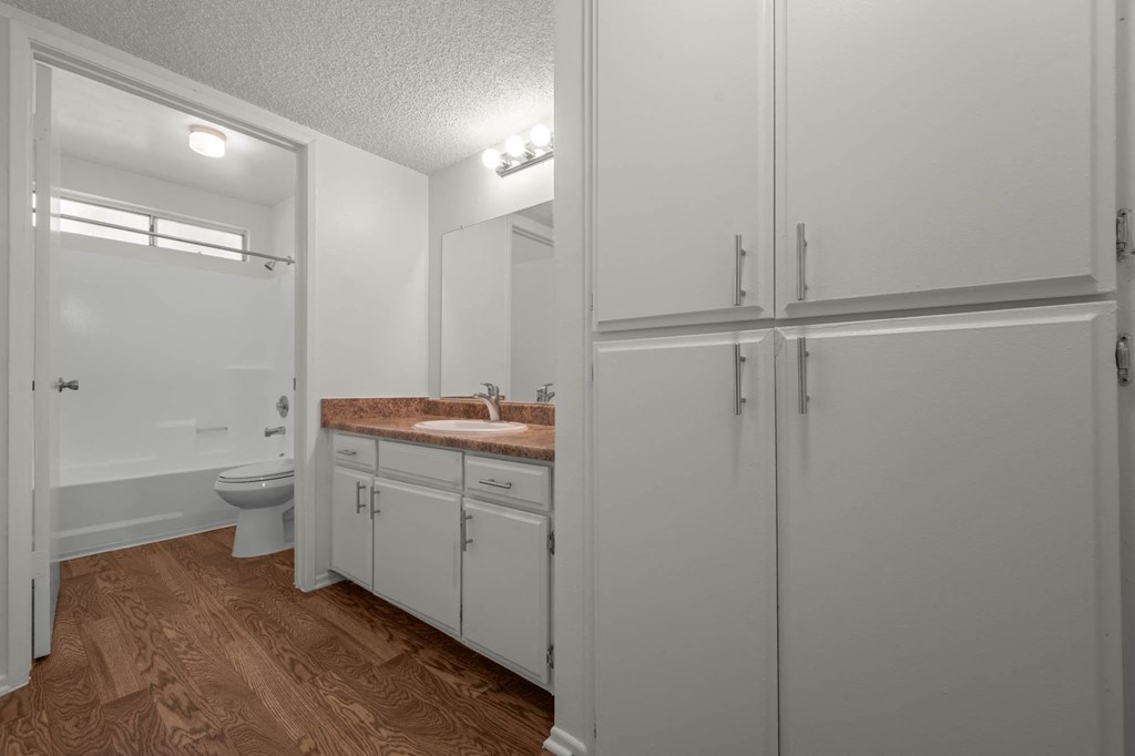 a bathroom with a sink and a toilet