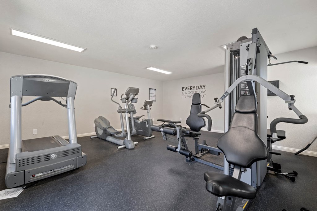 the gym is equipped with state of the art equipment including treadmills and weights