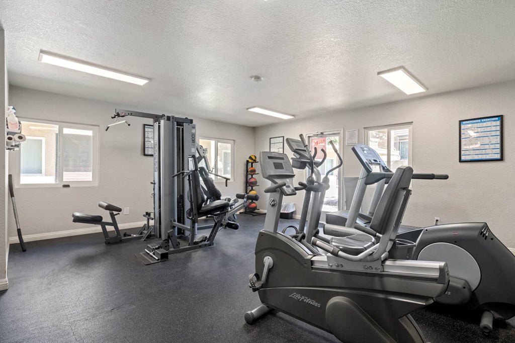 the gym is equipped with state of the art equipment for your use