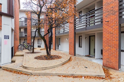 A tree with orange leaves is in front of a building.