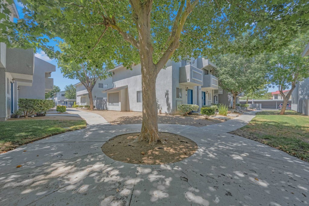 a tree in the middle of a sidewalk in front of apartments