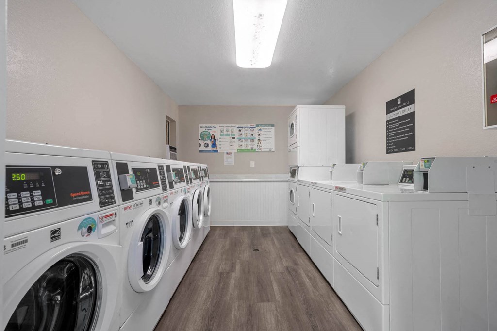 a laundry room with washers and dryers and a row of washing machines