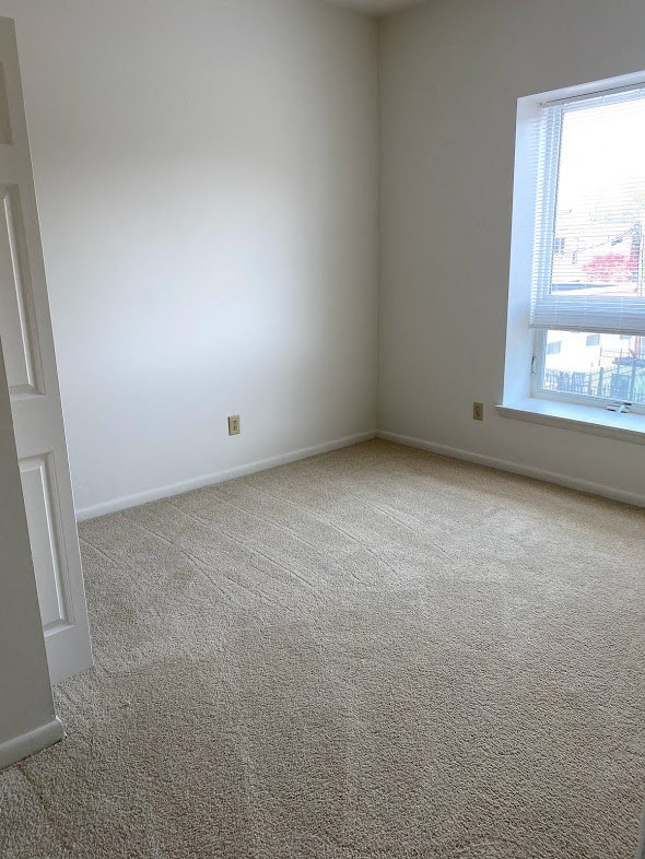Loockerman Square Apartments - bedroom / carpet