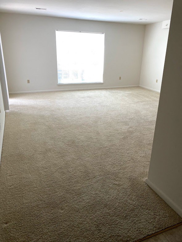 Loockerman Square Apartments - Living Room / Wall-to-Wall Carpet
