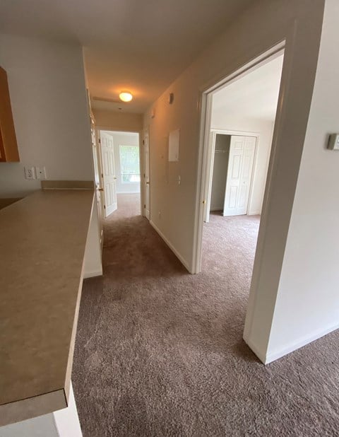 a view of a living room and a hallway with a carpeted floor