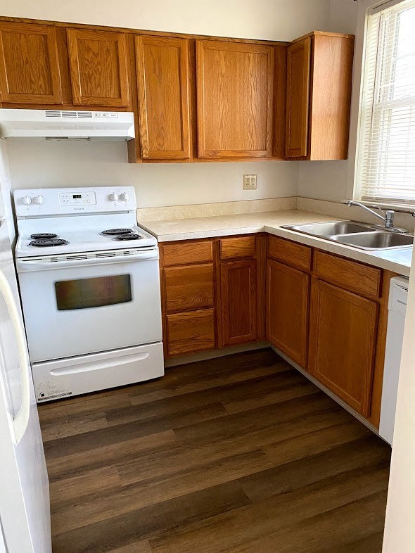 Garden Court Apartments - Kitchen / Electric Range, Sink, Garbage Disposal / Wood-grain cabinets / Wood-grain vinyl plank flooring
