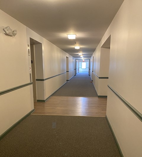 Kings Court Apartments - Main Building - Hallway to apartments / Carpet / elevator lobby / wood-grain, vinyl plank in elevator lobby