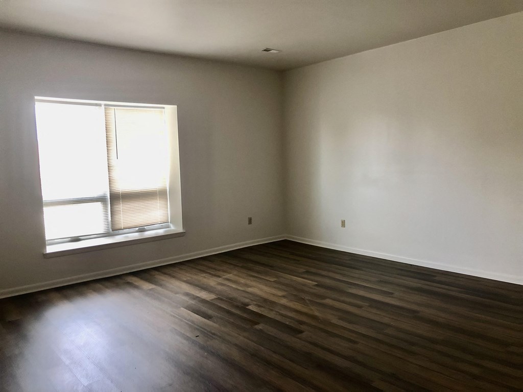 Loockerman Square Apartments - Living Room / Wood-grain vinyl plank flooring