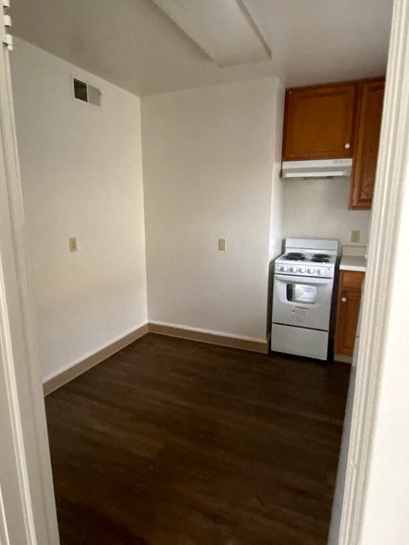 Mitten Apartments - Small, eat-in kitchen / apartment-sized electric range / wood-grain vinyl plank flooring