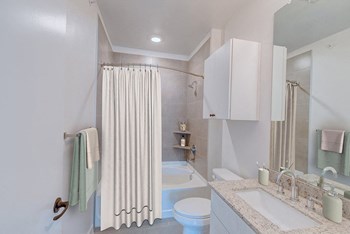 117 Priddy Lane 1-2 Beds Apartment for Rent - Photo Gallery 3