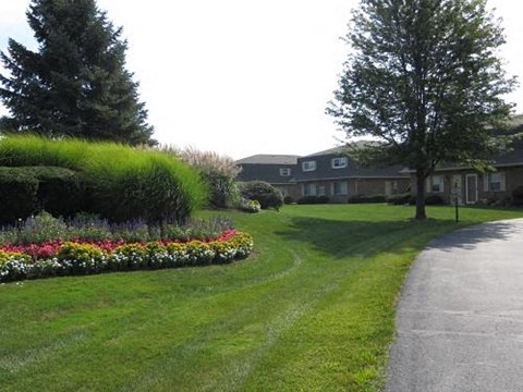 A road leads to a building with a green lawn and trees.