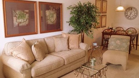 A living room with a couch, chair, and potted plant.