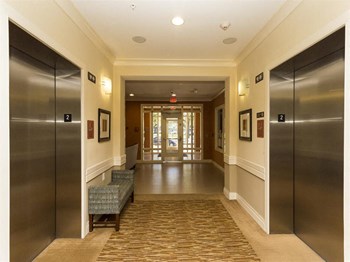 2515 Alabama Ave. SE 1-2 Beds Apartment, Affordable for Rent - Photo Gallery 5
