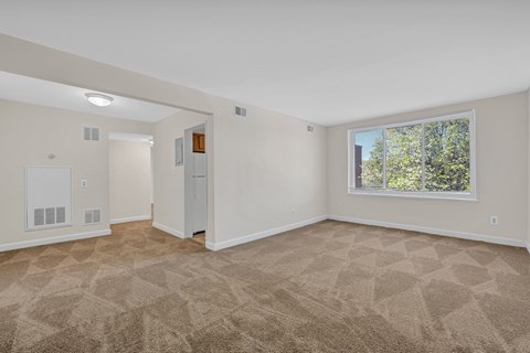 A room with a carpeted floor and a window showing trees outside.