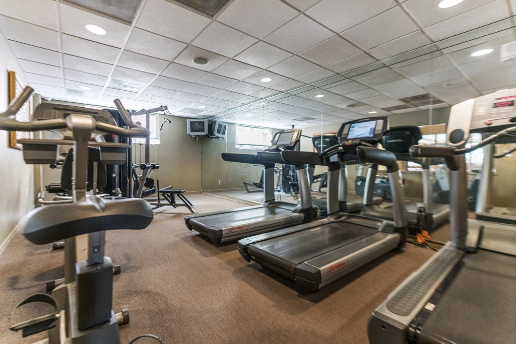 a gym with various cardio equipment on the floor and treadmills