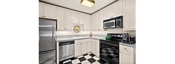 a kitchen with stainless steel appliances and checkered floors