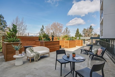 A patio with a table, chairs, and a potted plant.