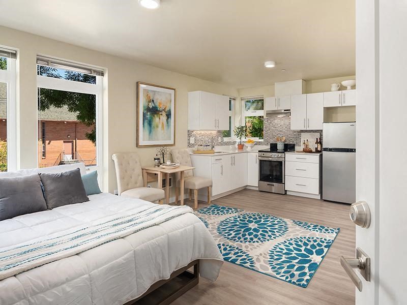 a bedroom and kitchen with a bed and a rug