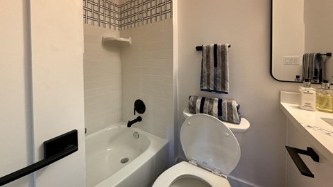 a bathroom with a tub and a toilet and a sink