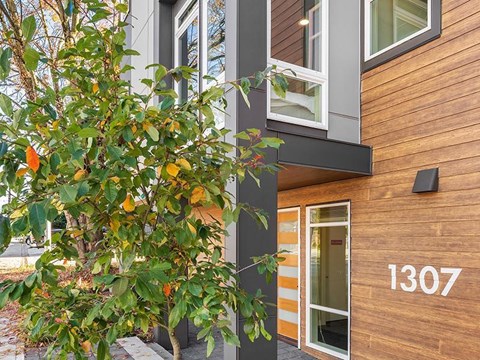 a tree is growing in front of a building