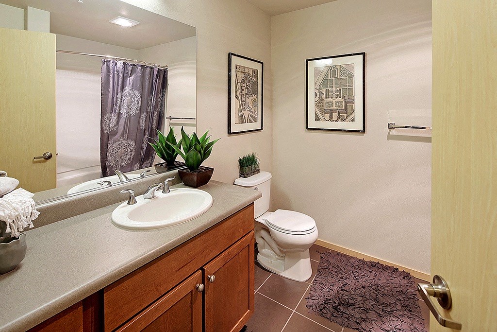 a bathroom with a sink and a toilet