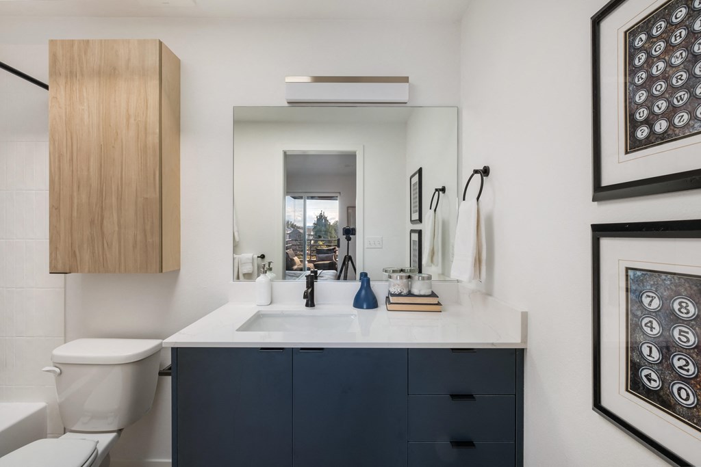 a bathroom with a sink and a toilet