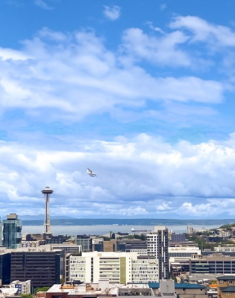 Rooftop view of the skyline at Alt Capitol Hill.