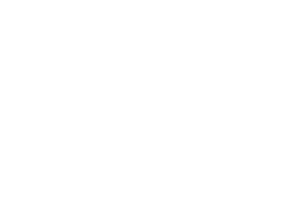 the logo logo