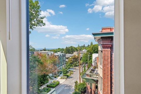 A view from a window looking out at a street lined with trees and buildings.