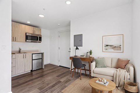 Studio with a kitchenette, microwave, sink and under-counter fridge, a hanging closet rod and the entry door.