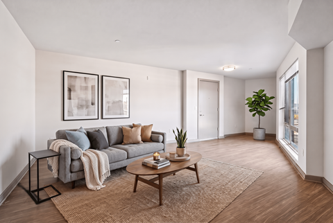 A living room with a grey couch, a coffee table, and a rug.