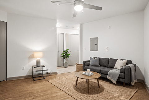 A living room with a grey couch, a table with a plant on it, and a rug on the floor.