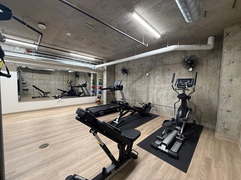 A gym with treadmills and weight machines.