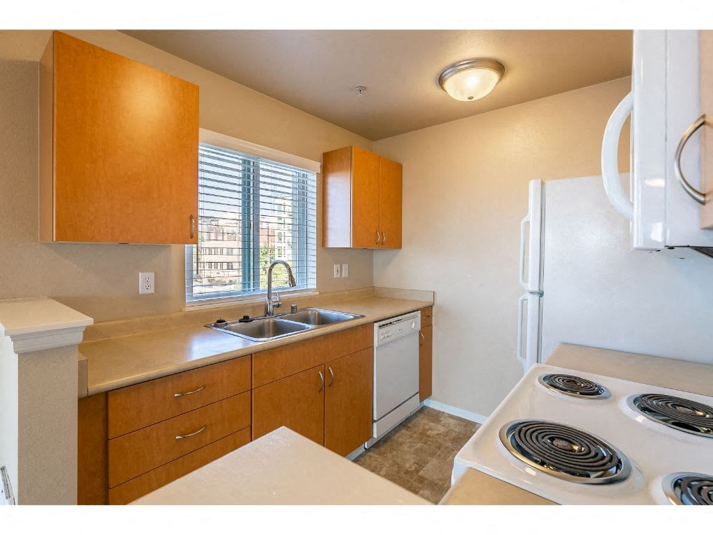 a kitchen with a stove sink and a refrigerator