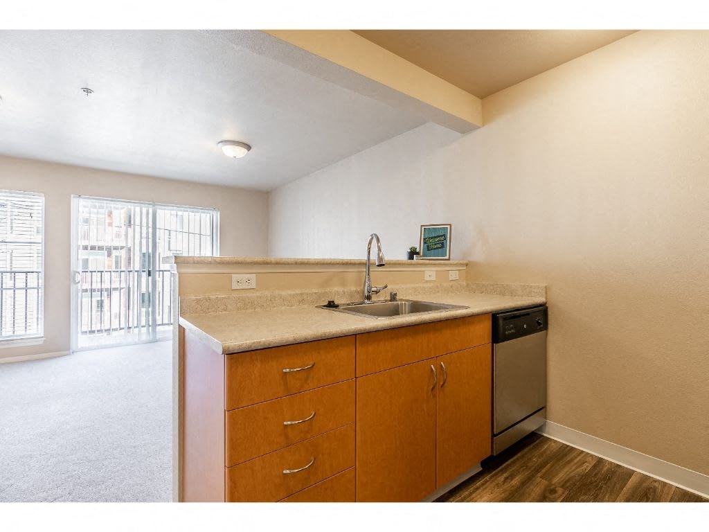 a kitchen with a sink and a dishwasher and a window
