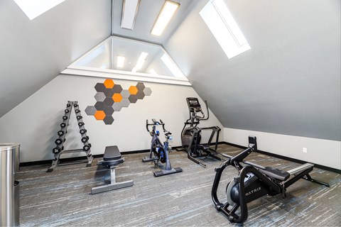A gym with a row of exercise bikes and a wall hanging.