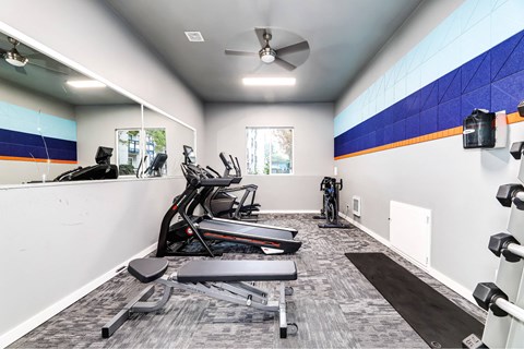 A gym room with a treadmill, exercise bike, and weights.