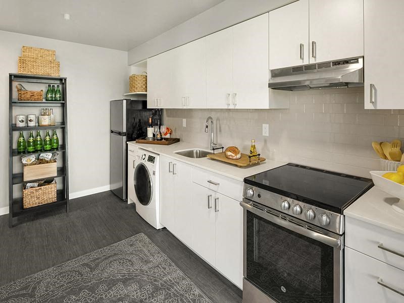 a white kitchen with a stove and a dishwasher