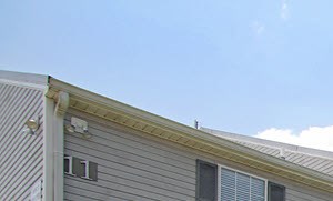 100 Waverly Drive 1-3 Beds Apartment for Rent - Photo Gallery 2