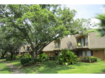 6200 Airport Blvd 1-2 Beds Apartment for Rent - Photo Gallery 5