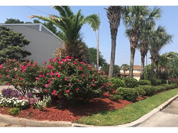 520 Wall Blvd 1-3 Beds Apartment for Rent - Photo Gallery 3