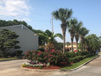 520 Wall Blvd 1-3 Beds Apartment for Rent - Photo Gallery 4