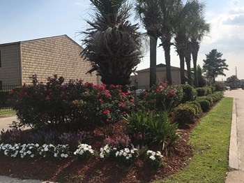 520 Wall Blvd 1-3 Beds Apartment for Rent - Photo Gallery 5