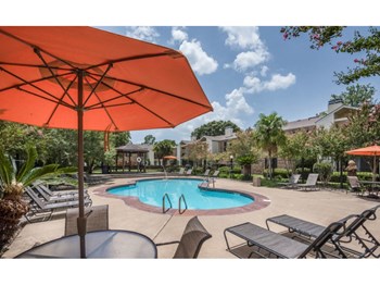 920 Twin Bridges Road 1-2 Beds Apartment for Rent - Photo Gallery 6