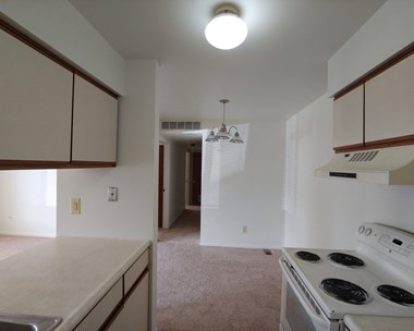 952 Dewey St. 2 Beds Apartment for Rent