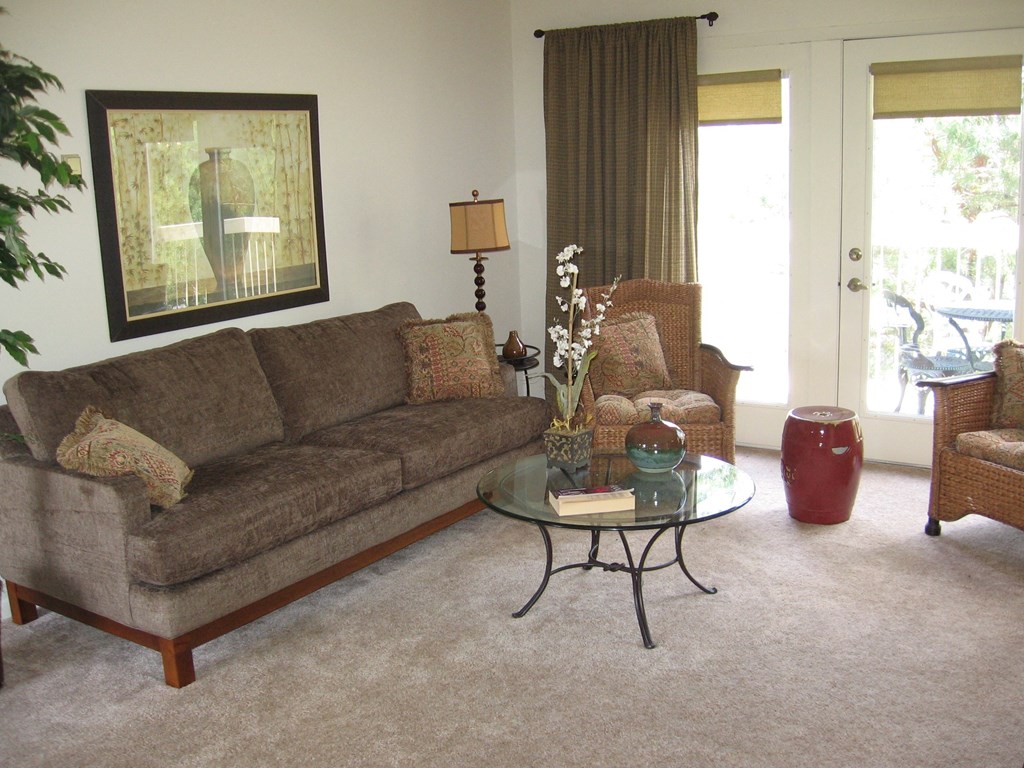 Spacious Living Room with beautiful natural lighting from patio windows.