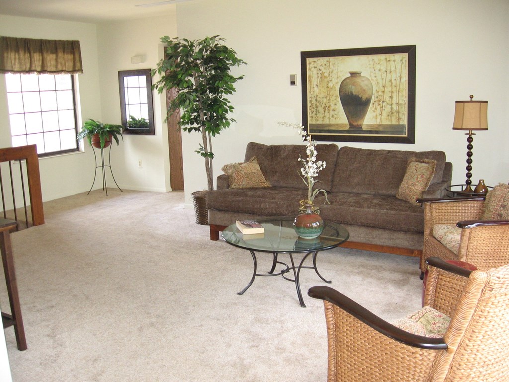 Wide Open and Spacious Living Room