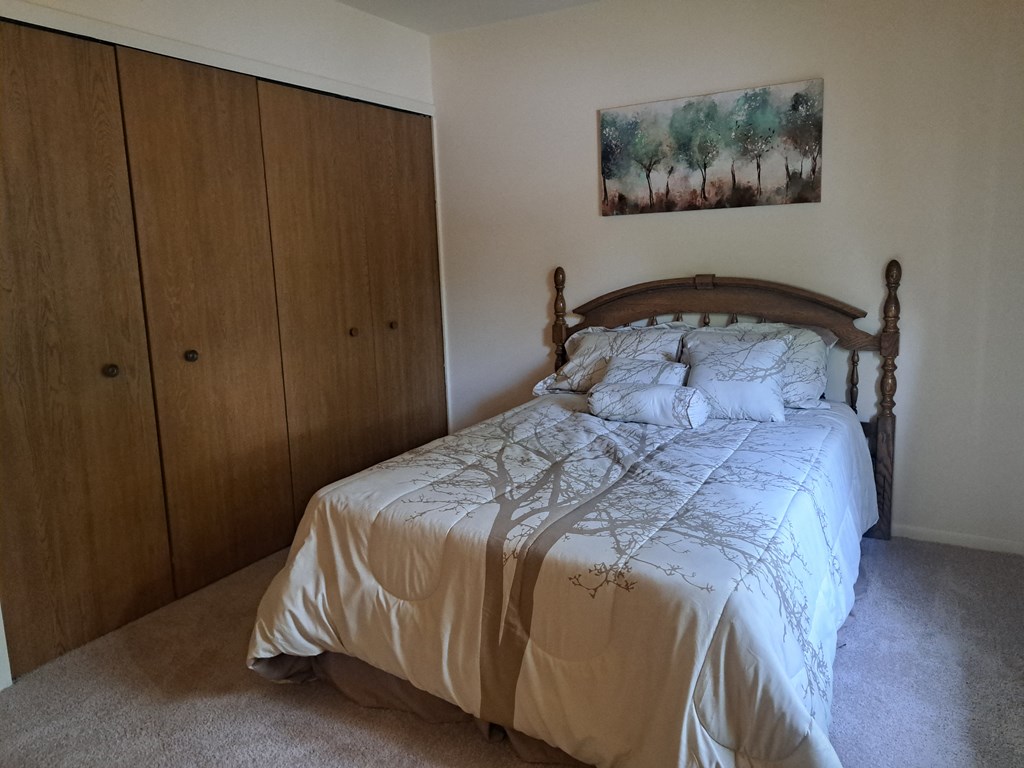 a bedroom with a bed and a closet